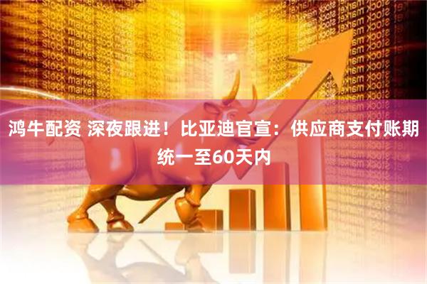 鸿牛配资 深夜跟进！比亚迪官宣：供应商支付账期统一至60天内