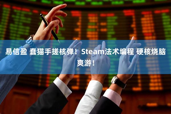 易信盈 蠢猫手搓核弹!Steam法术编程 硬核烧脑爽游!